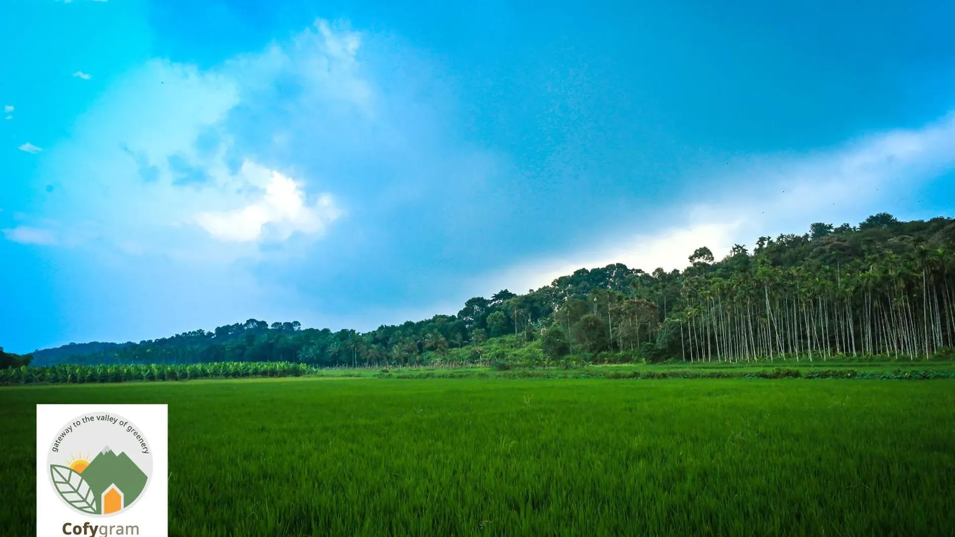Cofygram Cottages Wayanad