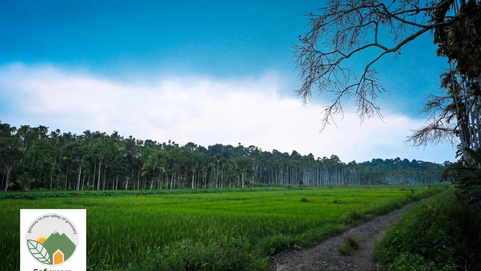 Cofygram Cottages Wayanad 0*,