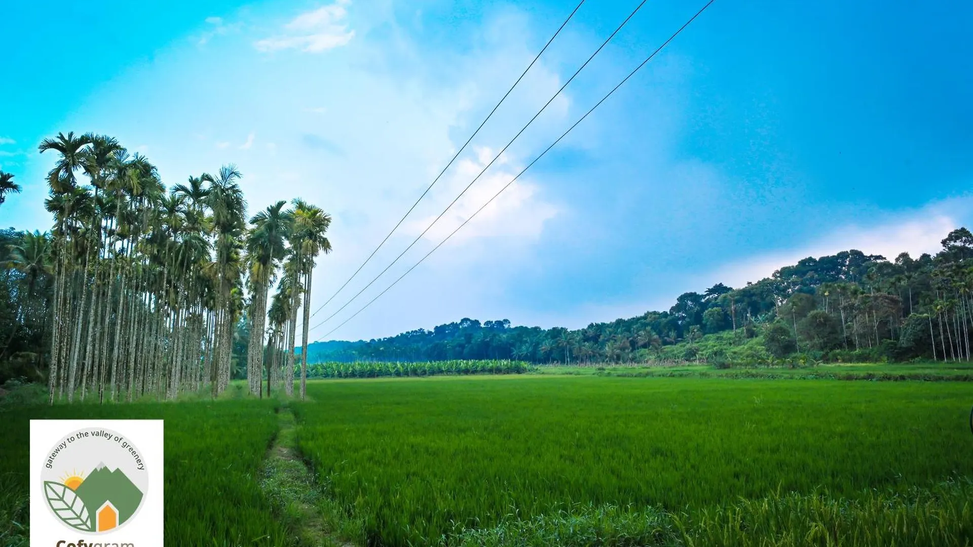 Séjour chez l'habitant Cofygram Cottages Wayanad